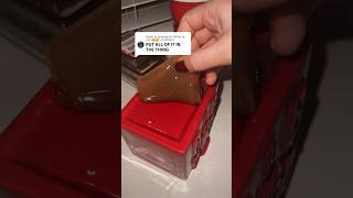 Watch me put 6 jelly wax melt cubes in my warmer Shop jelly wax melts at illuminatedbymiacom [upl. by Frayne]