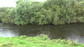 Cundall Hall Fishery River Swale [upl. by Nehgaem241]