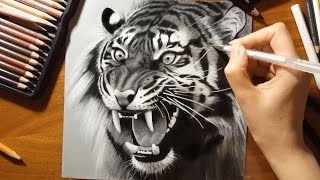 Speed Drawing a Roaring Tiger  Jasmina Susak [upl. by Amil]