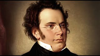 Schubert Rondo in A D 438Michael Dauth violin [upl. by Etra]