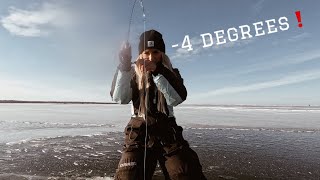 ICE FISHING FOR WALLEYE IN WINDY SUB ZERO TEMPS CATCHCOOK [upl. by Drofnil]