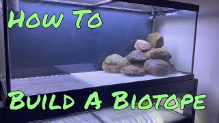 How to Build a Biotope Aquarium [upl. by Pompei518]