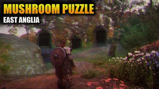 East Anglia Mushroom Puzzle  Assassins Creed Valhalla Fly Agaric Hallucination Challenge Mystery [upl. by Anerev]