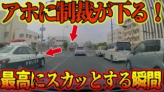 【ドラレコ】後ろから来るパトカーに気づかず最高にスカッとする瞬間！堂々と違反を行うトラックに制裁が…【交通安全・危険予知】 [upl. by Ajaj]