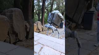 Use of robots to collect garbage shorts [upl. by Anawik28]