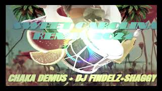 Sweet Caroline RemixChaka Demus  Freddie Mcgregor  Shaggy  Dj Findelz [upl. by Blinni]