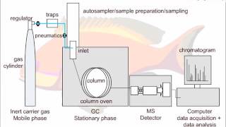 Strategies for GCMS Method Development [upl. by Agbogla116]