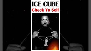 Check Yo Self  Ice Cube 💥 90S HIP HOP MIX 💥 Greatest Hits Songs 2024 n01 [upl. by Metzgar]