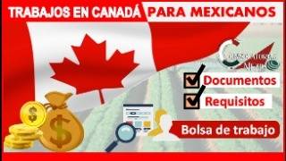 🚨Oportunidades de Trabajo y Viaje en Canadá Descubre el Programa IEC [upl. by Leihcar]