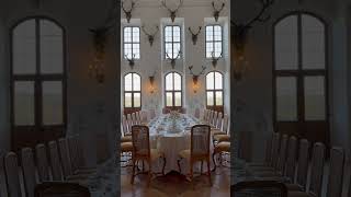 Royal dining room 😱😱😱 Moritzburg Castle germany dresden youtubeshorts shorts [upl. by Rialcnis]