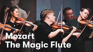 W A Mozart Die Zauberflöte The Magic Flute arr for strings [upl. by Jarrad18]