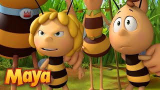 TODAS LAS VECES que Maya ha DEFENDIDO A WILLY 🐝❤️ MEJORES CAPÍTULOS DE MAYA en ESPAÑOL 🐝 [upl. by Demmer]