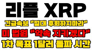 리플 XRP 긴급속보 미법원 quot약속 지키겠다quot 1차 목표가 1달러 돌파 시간 영상 꼭 끝까지보세요 [upl. by Adiv]