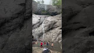 Thusharagiri waterfalls Wayanad Kerala himalayanblackpearl shorts thusharagiri [upl. by Reiche]