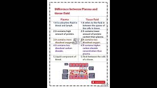 Difference between plama and tissue fluid [upl. by Frantz]