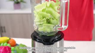 HBJ808 smoothie blender [upl. by Ydnys]