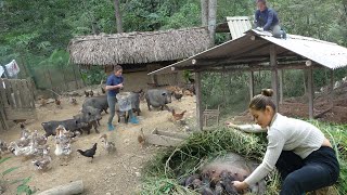 Build a new pen for the newborn pigs in the forest [upl. by Nhguahs]