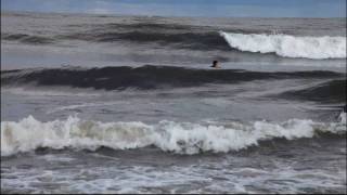 paddling out  bodyboarding on Lake Michigan [upl. by Belloir561]