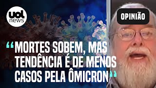 Covid Ômicron faz média de mortes subir 566 no Brasil casos vão cair diz médico [upl. by Latnahs]