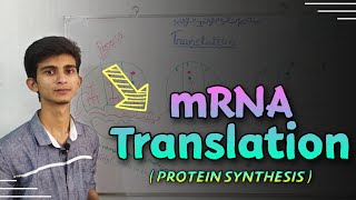 Translation Protein synthesis explained in bangla  Biochemistry [upl. by Philo]