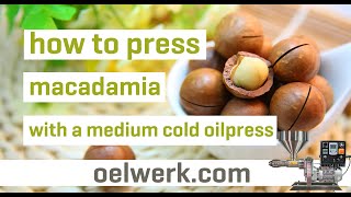 High quality macadamia oil  production and application [upl. by Haseena]