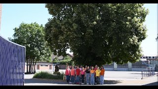 Collège Saint Jean Baptiste de la Salle Valenciennes  L effet de masse par quotLes enchanteursquot [upl. by Anhsirk]