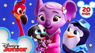 Calling All TOTS 🐧 Compilation  TOTS  Disney Junior [upl. by Olwena]