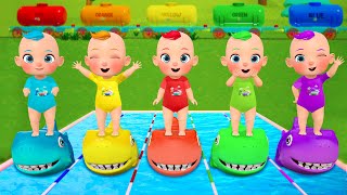 Baby Shark Finger Family Where Are You  JoJo Nursery Rhymes amp Kids Songs [upl. by Omero]