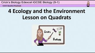 Quadrat PracticalBiology iGCSE Ecology and the EnvironmentCricks Biology [upl. by Ennyletak]