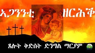 ኣጋንንቲ ዘርሕ ጸሎት ኣዴና ቅድስት ድንግል ማርያም Eritrean Orthodox Tewahdo church [upl. by Keppel]