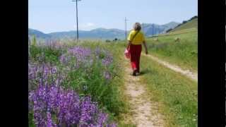 Fiorita del Piano Grande di Castelluccio di Norcia 2011 [upl. by Helaina562]