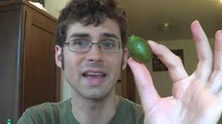 Guinep Spanish Lime or Mamoncillo Review and How to Roast its seeds Weird Fruit Explorer Ep 34 [upl. by Hueston]