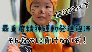 【最重度知的障害】と診断された息子の2歳～２歳半 [upl. by Herahab189]