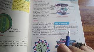 PlastidsChloroplast Cytoskeleton and Centrosomes Biology Grade 9 Unit 4 Cells and Tissues KP [upl. by Gleich]