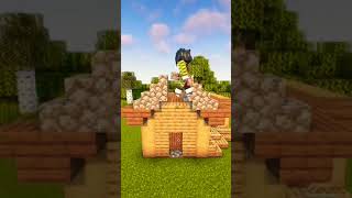 Beginner hause minecraft [upl. by Debarath]