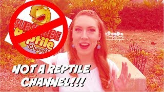 The Reptile Channel Is Not What They Appear [upl. by Luo]