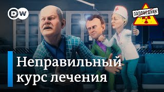 Очереди на приеме в ЕС – quotЗаповедникquot выпуск 303 сюжет 2 [upl. by Ojimmas517]