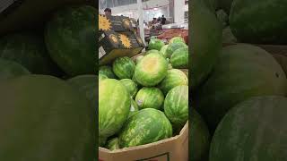 costco watermelon [upl. by Akira653]