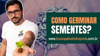 Como germinar sementes Hidroponia [upl. by Chari]