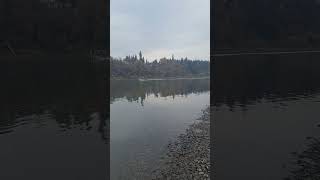 Boat 🚢 heading up The Willamette River [upl. by Tawnya]