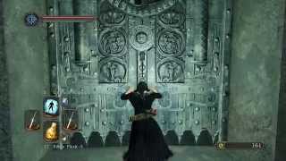 Dark Souls 2 Walkthrough  Everything possible in Crown of the Sunken King 1 [upl. by Anette]