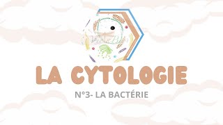 LA CYTOLOGIE N°3 La bactérie [upl. by Aziaf938]