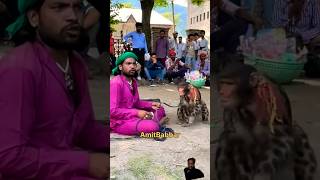 bandar bana chaprasi comedy monkey funny trendingshorts shortvideo animals [upl. by Bergwall]