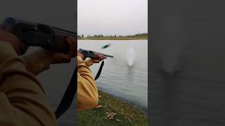 long barrel semi automatic shotgun shortvideo short [upl. by Lecroy807]