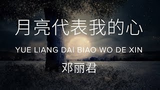 Yue liang dai biao wo de xin 月亮代表我的心  Teresa Teng 邓丽君 Lyric  Pinyin [upl. by Ahsienat]