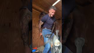 Reggie is one of a kind 😂🐴 horse funny shorts equestrian asmr [upl. by Inatsed370]