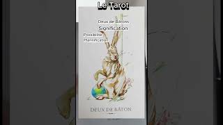 Le tarot Signification des cartes Deux de baton [upl. by Bowen]