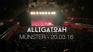 Alligatoah  Live in Münster 20032016  Halle Münsterland [upl. by Auj985]