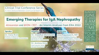 Emerging Therapies for IgA Nephropathy [upl. by Nol]