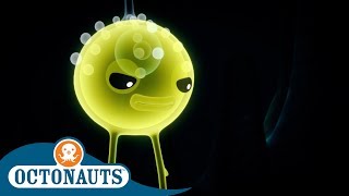 Octonauts  Attacked by Siphonophore  Cartoons for Kids  Underwater Sea Education [upl. by Enilra]